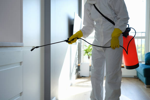Best Certified Mold Removal  in Mineral Springs, NC