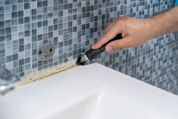 Best Mold Removal Process  in Mineral Springs, NC